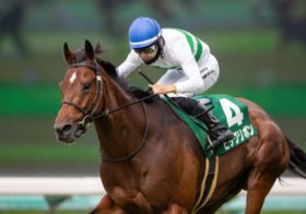 超難解！牝馬限定ハンデ戦マーメイドSに漂う100万馬券の予感。危険な人気馬コスタボニータ消し？で狙う急浮上の軽ハンデ馬！