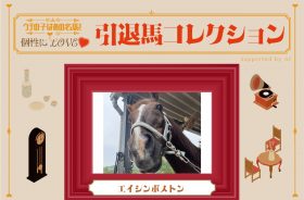 芝・ダート・障害で勝利した“三刀流”エイシンボストン！学生馬術で四刀流に挑戦中！ vol.48