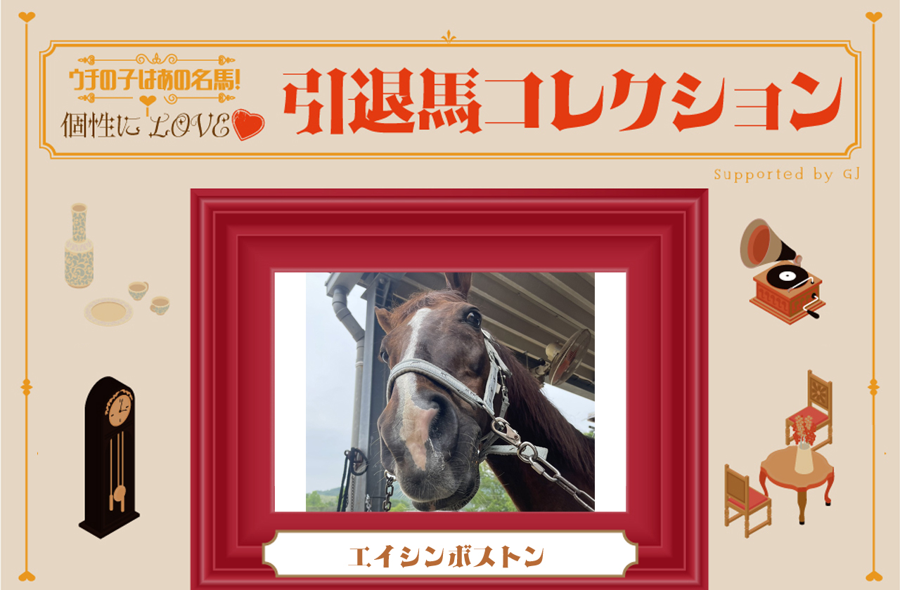 芝・ダート・障害で勝利した“三刀流”エイシンボストン！学生馬術で四刀