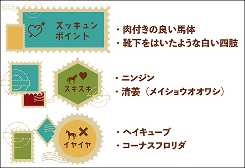 芝・ダート・障害で勝利した“三刀流”エイシンボストン!学生馬術で四刀流に挑戦中! vol.48の画像6