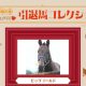 北海道「3年連続リーディング騎手」がまたもJRAで波乱演出!「少ないチャンスを活かせて、うれしい」9番人気1着で288万馬券!