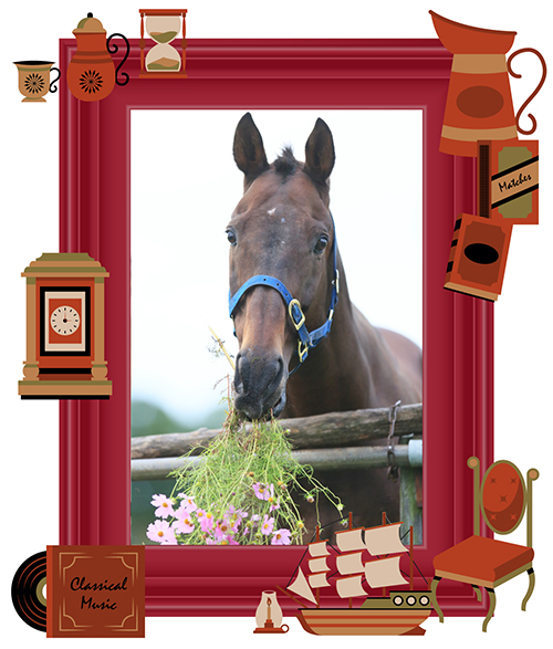 歴史的大波乱の立役者！春天を湧かせたビッグゴールドは、仔馬たちの良き園長先生に！Vol.49の画像2