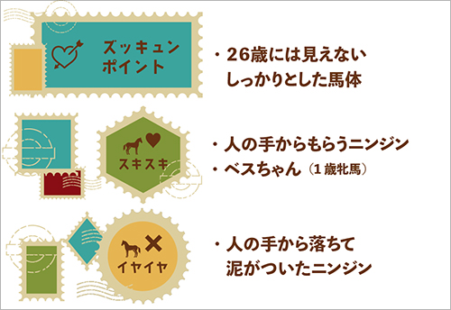 ビッグゴールドのズッキュンポイント