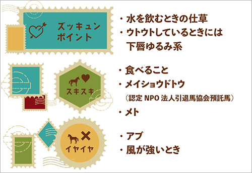 ネコパンチのズッキュンポイント