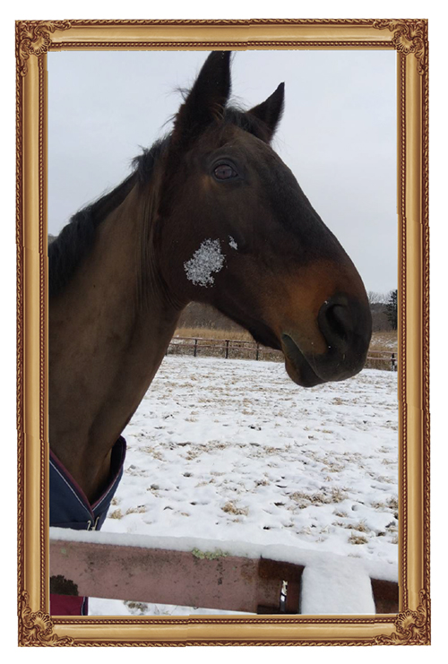冬のある日、雪をほっぺたにつけていました