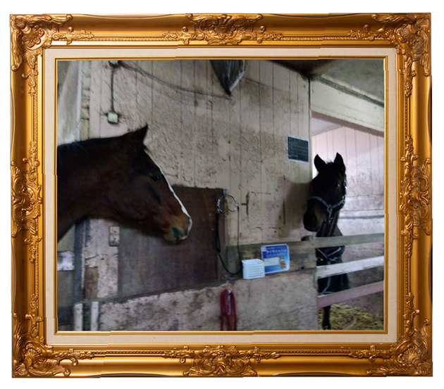 ドトウと初めて顔を合わせる