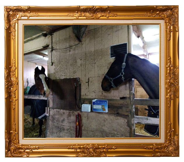 ドトウと初めて顔を合わせる