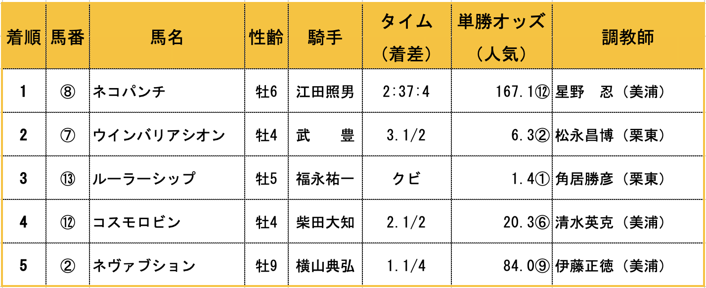 ルーラーシップに猫パンチをお見舞い！江田照男騎手とのコンビで大金星を挙げたネコパンチは、猫の棲家で個性爆発中！ Vol.50の画像4