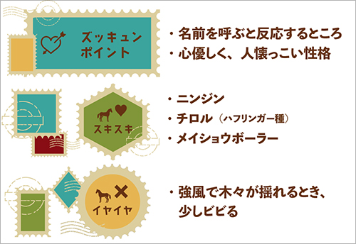 メイショウアイアンのズッキュンポイント