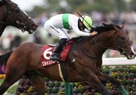 330万馬券から判明した中京記念の攻略ポイント、18番人気メイケイダイハードはなぜ勝てたのか