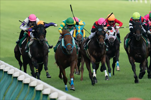 波乱必至の直線競馬！アイビスSDの見どころと注目馬