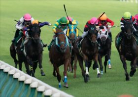 【アイビスSD】“新婚”藤田菜七子騎手が得意の千直でビッグチャンス！超穴馬マウンテンムスメが大波乱を演出か？