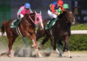 レパードS、エルムS、札幌記念は「名物編集長のこの3頭で勝負！&本命キラーAIの推奨馬！」