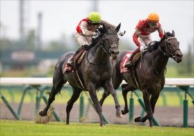 意外に荒れる札幌記念。12年連続万馬券の理由。1番人気12連敗でプログノーシスに危険信号、浮上したのは想定外の穴馬