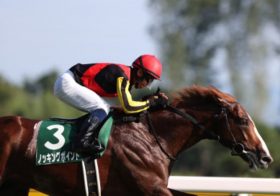 【新潟記念】女王ブレイディヴェーグ回避で大混戦！サマー2000シリーズ最終戦、レッドラディエンスとキングズパレスに逆転の目？