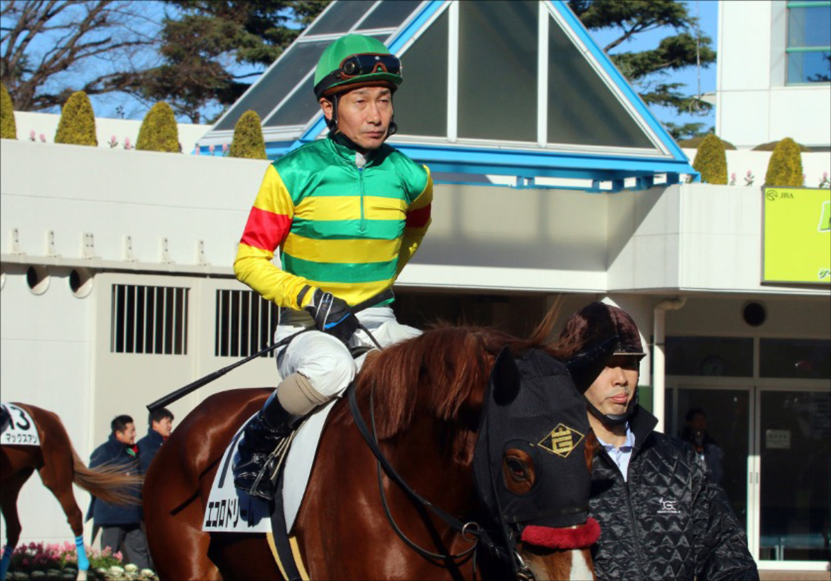 クリアランス JRA 競馬 細江 純子 騎手 ジョッキーパンツ