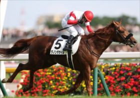 50年未勝利データのダノンデサイル、展開不利メイショウタバル、重賞大敗ヘデントールは買いか否か？レジェンドジョッキーの「菊花賞で買うべき3頭！」