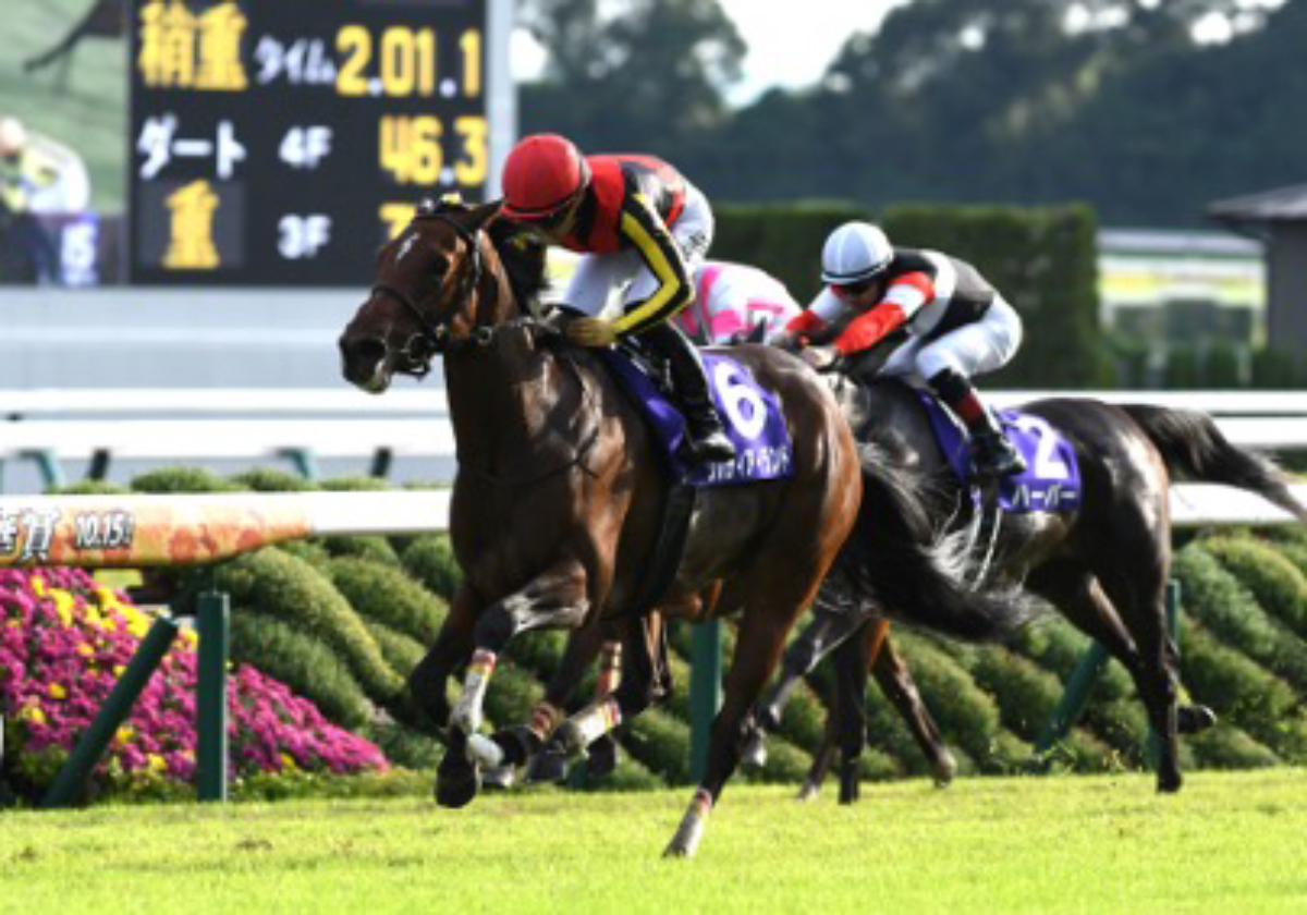 G1ホース3頭輩出「名繁殖牝馬」最後の仔が勝ち上がり！ 佐々木主浩氏がすべて所有、産駒は8頭中7頭が白星 | GJ