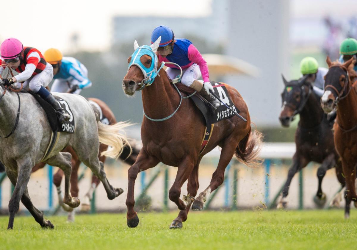 香港国際競走「負けるわけにはいかん」名伯楽も重圧…武豊×ステイゴールド、福永祐一×エイシンプレストン、そして四位洋文×アグネスデジタルの記憶【競馬クロニクル  第34回】 | GJ