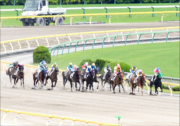 あの激走馬も丸裸…プロが教える「万馬券ゲット」必勝法!?