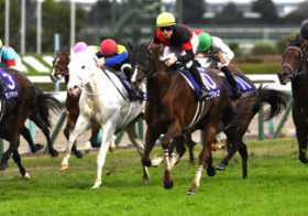 【マイルCS】JRAのマイル路線に新風？グランアレグリア、ソングライン、シュネルマイスターに続くサンデーレーシングの刺客ブレイディヴェーグのマイル適性を問う