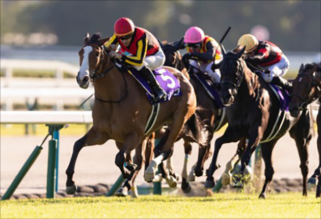 二冠牝馬チェルヴィニアは上位人気の一角だが…