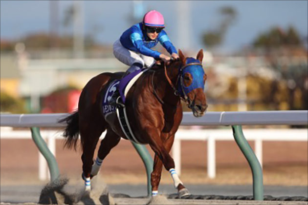 昨年はレモンポップが圧倒的な強さで勝利。今年は同馬の連覇なるか？