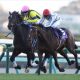 武豊と有馬記念を振り返る。ドウデュースのラストラン勝つための条件、オグリキャップ、ディープインパクト、キタサンブラックに続く伝説となるか?