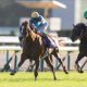 【有馬記念】武豊×ドウデュースを逆転できる候補3頭!と絶対に馬券に加えるべき“隠れ穴馬!”