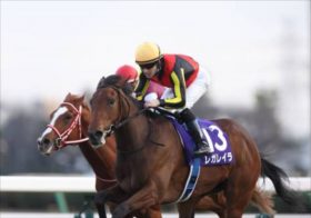 【ホープフルS】“クロワデュノールなんて目じゃない！”今年最後のG1！冬の中山で走る穴馬の法則、名門調教師絶賛の穴馬！