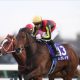 【ホープフルS】“クロワデュノールなんて目じゃない!”今年最後のG1!冬の中山で走る穴馬の法則、名門調教師絶賛の穴馬!