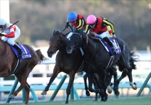 完全版 直結式コース攻略カードと前3走を照らし合わせるだけで