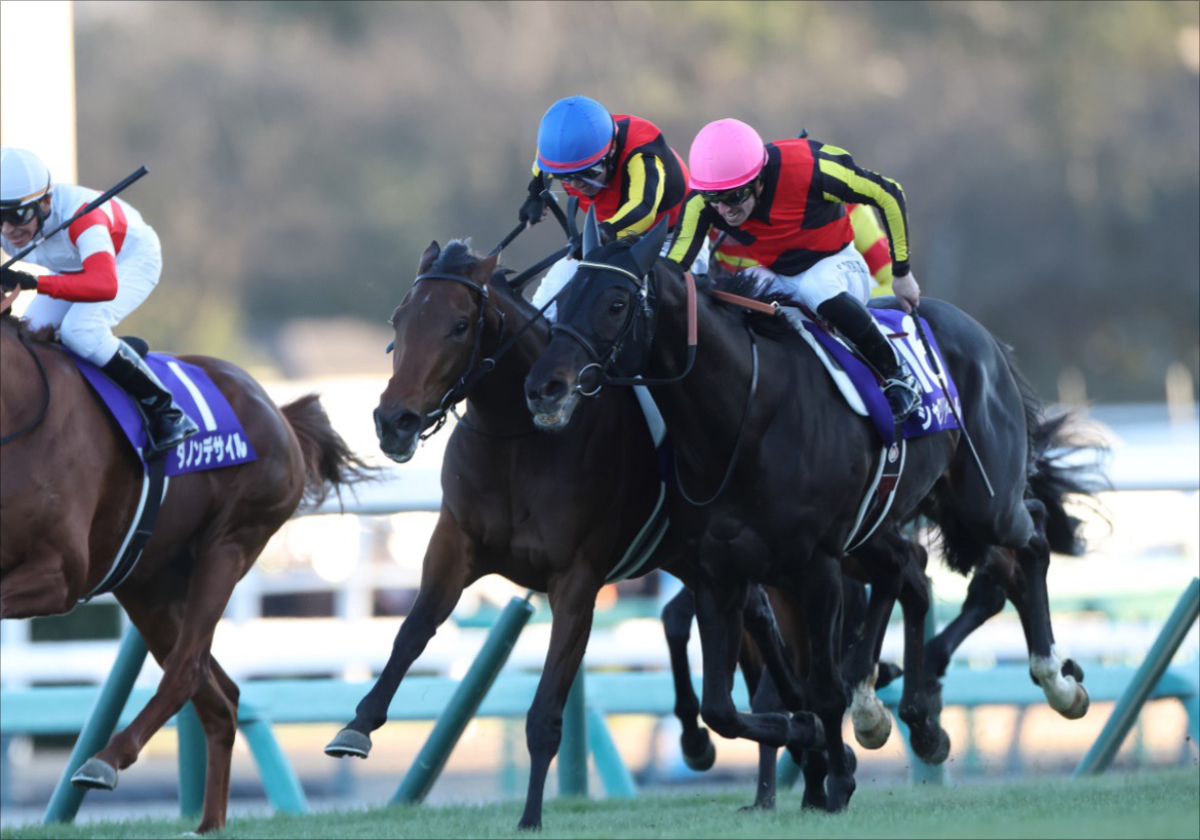 G1ホース3頭輩出「名繁殖牝馬」最後の仔が勝ち上がり！ 佐々木主浩氏がすべて所有、産駒は8頭中7頭が白星 | GJ