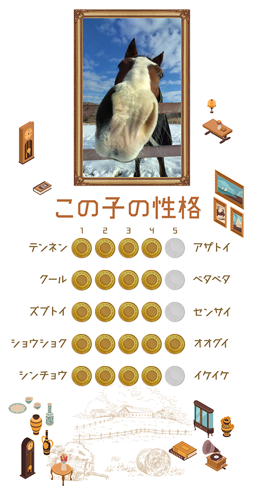 メイショウドトウ|\'01 宝塚記念を制した「不屈の挑戦者」は、牧場猫・メトとの名コンビでメディアを席巻中！の画像7
