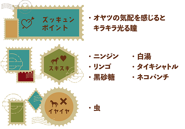 メイショウドトウ|\'01 宝塚記念を制した「不屈の挑戦者」は、牧場猫・メトとの名コンビでメディアを席巻中！の画像9
