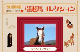 ナイスネイチャが余生を導いた⁉︎ みんなが慕う群れのボス、ハギノハイブリット! vol.46