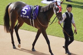 岩田望来、菅原明良ら「花の35期生」の有望株に試練…「僕も成長します」3歳牝馬トップクラスの実力馬の戦線離脱にショック