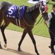 今村聖奈「かつての相棒」が3連勝でG1制覇。初コンビ川田将雅の10馬身圧勝から始まった快進撃に何を思う?