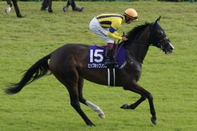 キタサンブラック産駒「1勝馬の大物」対決、降板が続く鞍上にとっても大一番…イクイノックス引退式に花を添えるか