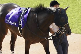 【阪神牝馬S（G2）展望】「JRAレコード樹立」阪神で巻き返しへ…マスクトディーヴァがJ.モレイラと新コンビ結成！