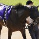 「勝ち馬は違うレベル」C.ルメールも思わず脱帽…川田将雅×中内田充正の黄金コンビ「6戦5勝」の遅れてきた大物が出世レースを好タイムV!