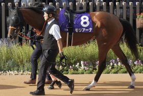 横山典弘「120点の若いお姉さん」とコンビ解消に賛否両論!?…元相棒はスルーセブンシーズに続けるか