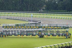 【京都2歳S（G3）展望】凱旋門賞馬の全弟シンエンペラーVS大物候補ギャンブルルーム！ 「想像以上に強かった」横山武史も唸る良血馬がデビュー2連勝なるか