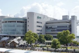 キタサンブラック産駒を超高価格で落札「謎の購買者」が2年連続で話題に？ 昨年の落札馬は「有名オーナー」の名義に