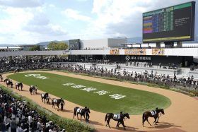 キタサンブラック弟、ダイワスカーレット最後の産駒、オークス馬初仔…「遅れてきた」良血馬たちが冬の京都に大集結！超異例「伝説の“3歳”新馬戦」が実現？