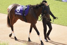 【ドバイシーマクラシック（G1）展望】三冠牝馬リバティアイランドがいよいよ始動！ディープインパクト産駒「最後の大物」オーギュストロダンと激突