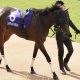 武豊の「アドバイス」が導いた15番人気→10番人気の連勝劇! プロが語る一介の条件馬が覚醒したワケ