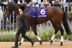【ドバイシーマクラシック】G1・5勝オーギュストロダンVS三冠牝馬リバティアイランドが実現!? 次なる世界最強を狙う中長距離トップホース集結か
