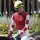 【ターコイズS(G3)展望】牝馬史上初の偉業へ「トルコ石の女王」ミスニューヨークが3連覇にチャレンジ! 桜花賞2着コナコースト、中山巧者ヒップホップソウルら3歳馬にも注目