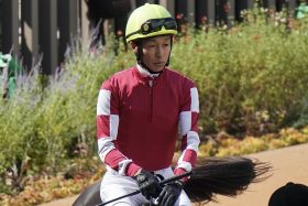 武豊に期待される「神騎乗」の再現…条件馬と菊花賞トライアルに参戦